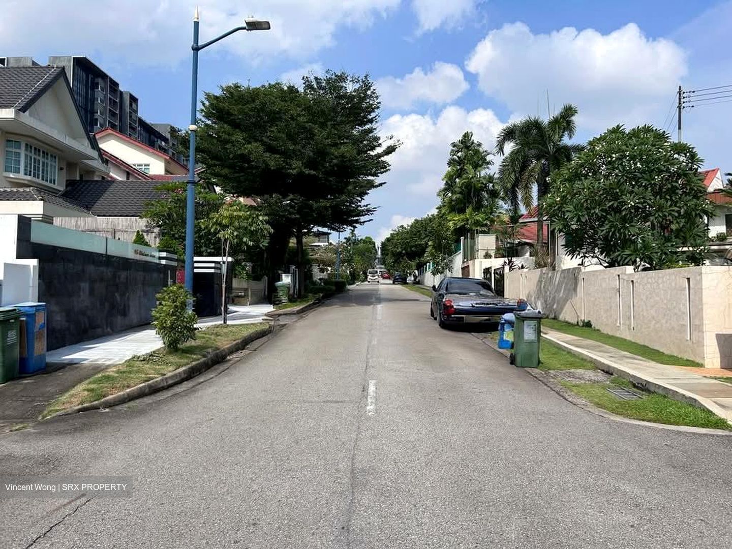 Serangoon Garden Estate (D19), Semi-Detached #590397261